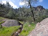 Pinnacles NM 016